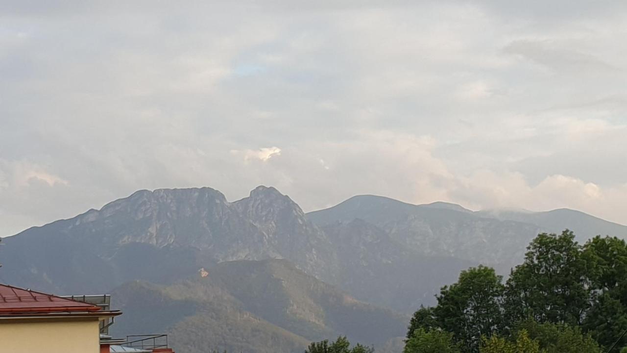 Villa Fortuna - Regionalne Apartamenty & Spa - Sauna, Grill, Jacuzzi Z Widokiem Na Tatry 扎科帕内 外观 照片