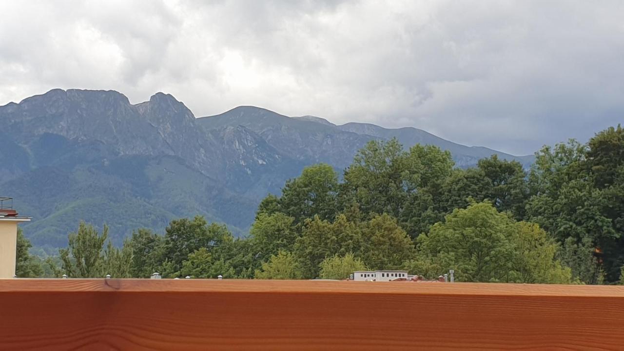 Villa Fortuna - Regionalne Apartamenty & Spa - Sauna, Grill, Jacuzzi Z Widokiem Na Tatry 扎科帕内 外观 照片