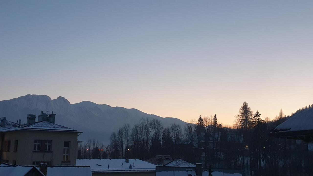 Villa Fortuna - Regionalne Apartamenty & Spa - Sauna, Grill, Jacuzzi Z Widokiem Na Tatry 扎科帕内 外观 照片