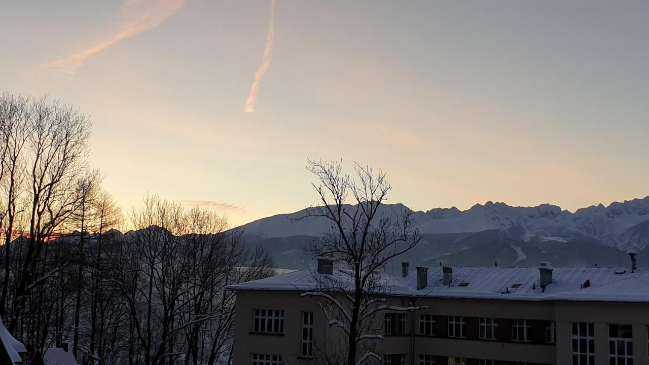Villa Fortuna - Regionalne Apartamenty & Spa - Sauna, Grill, Jacuzzi Z Widokiem Na Tatry 扎科帕内 外观 照片