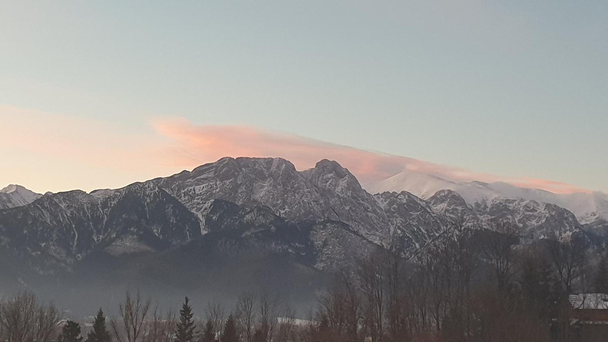 Villa Fortuna - Regionalne Apartamenty & Spa - Sauna, Grill, Jacuzzi Z Widokiem Na Tatry 扎科帕内 客房 照片